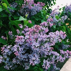 Meet your Posher, Kathryn